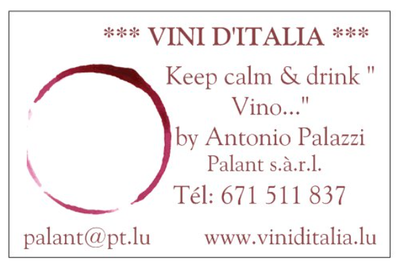 Logo *** VINI D